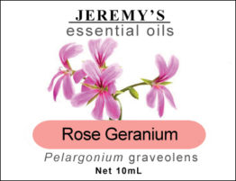 rose_geranium_sm rose_geranium_sm