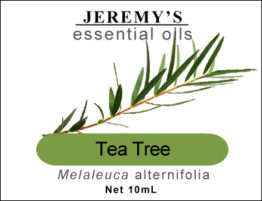 tea_tree_sm tea_tree_sm